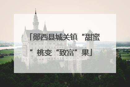 郧西县城关镇“甜蜜”桃变“致富”果