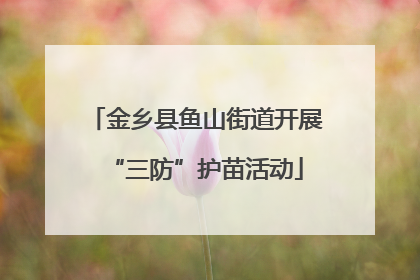 金乡县鱼山街道开展“三防”护苗活动