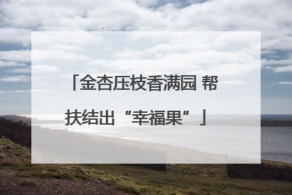 金杏压枝香满园 帮扶结出“幸福果”