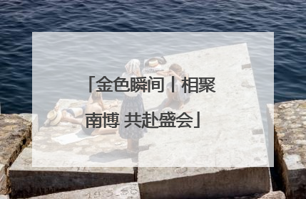 金色瞬间丨相聚南博 共赴盛会