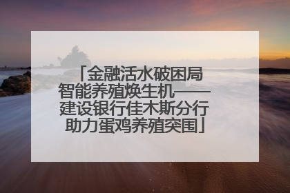 金融活水破困局 智能养殖焕生机——建设银行佳木斯分行助力蛋鸡养殖突围