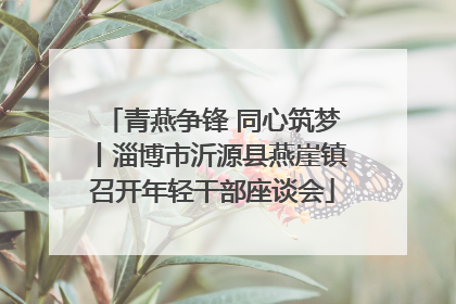 青燕争锋 同心筑梦丨淄博市沂源县燕崖镇召开年轻干部座谈会