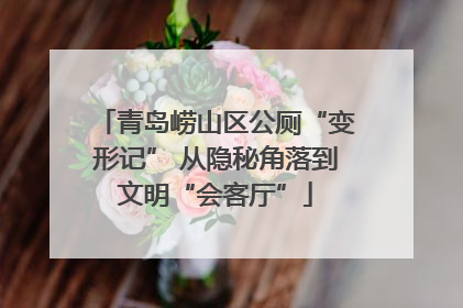 青岛崂山区公厕“变形记” 从隐秘角落到文明“会客厅”