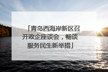 青岛西海岸新区召开政企座谈会，畅谈服务民生新举措