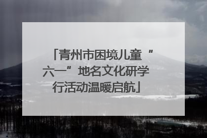 青州市困境儿童“六一”地名文化研学行活动温暖启航