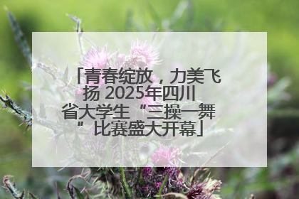 青春绽放，力美飞扬 2025年四川省大学生“三操一舞”比赛盛大开幕