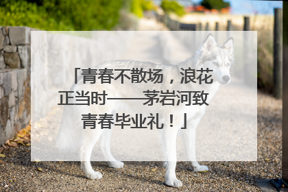青春不散场，浪花正当时——茅岩河致青春毕业礼！