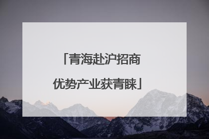 青海赴沪招商 优势产业获青睐