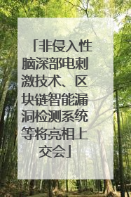 非侵入性脑深部电刺激技术、区块链智能漏洞检测系统等将亮相上交会