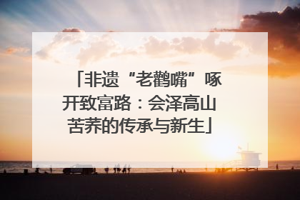 非遗“老鹳嘴”啄开致富路：会泽高山苦荞的传承与新生