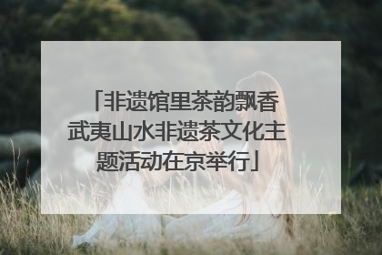 非遗馆里茶韵飘香 武夷山水非遗茶文化主题活动在京举行