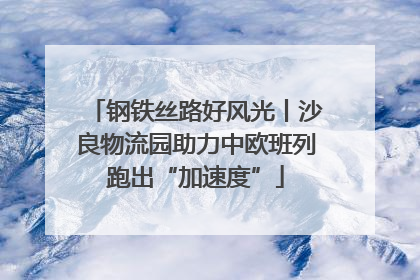 钢铁丝路好风光丨沙良物流园助力中欧班列跑出“加速度”