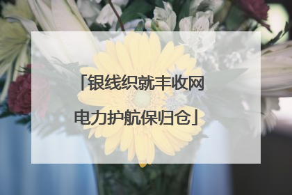 银线织就丰收网 电力护航保归仓