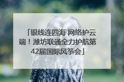 银线连四海 网络护云端！潍坊联通全力护航第42届国际风筝会