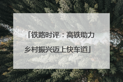 铁路时评：高铁助力乡村振兴迈上快车道