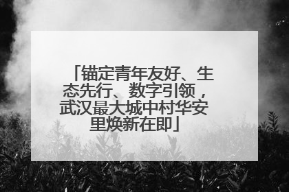锚定青年友好、生态先行、数字引领，武汉最大城中村华安里焕新在即