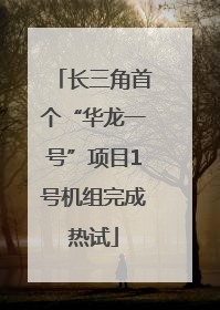 长三角首个“华龙一号”项目1号机组完成热试