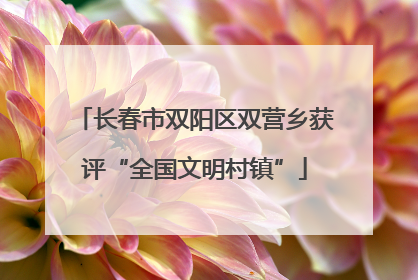 长春市双阳区双营乡获评“全国文明村镇”
