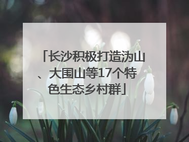 长沙积极打造沩山、大围山等17个特色生态乡村群