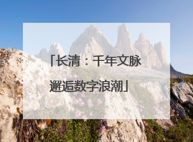 长清：千年文脉邂逅数字浪潮