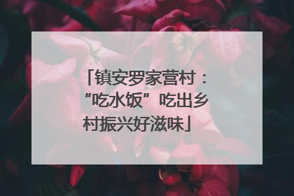 镇安罗家营村：“吃水饭”吃出乡村振兴好滋味