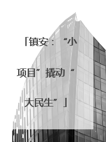 镇安：“小项目”撬动“大民生”