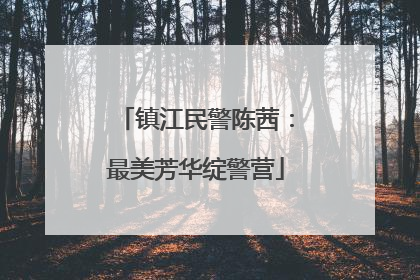 镇江民警陈茜：最美芳华绽警营