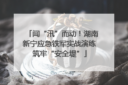 闻“汛”而动！湖南新宁应急铁军实战演练筑牢“安全堤”