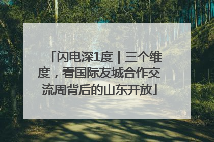 闪电深1度｜三个维度，看国际友城合作交流周背后的山东开放