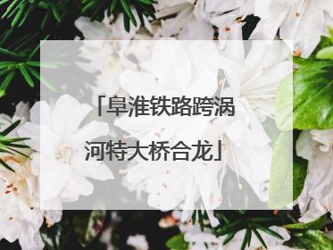 阜淮铁路跨涡河特大桥合龙