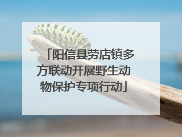 阳信县劳店镇多方联动开展野生动物保护专项行动