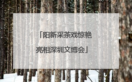 阳新采茶戏惊艳亮相深圳文博会