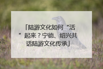 陆游文化如何“活 ”起来？宁德、绍兴共话陆游文化传承
