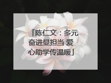 陈仁文：多元奋进显担当 爱心助学传温暖