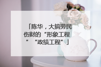 陈华，大搞劳民伤财的“形象工程”“政绩工程”