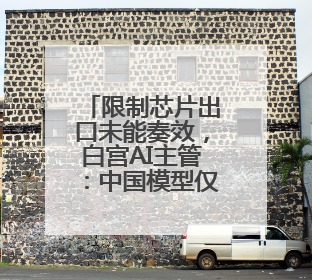 限制芯片出口未能奏效，白宫AI主管：中国模型仅落后美国不到半年