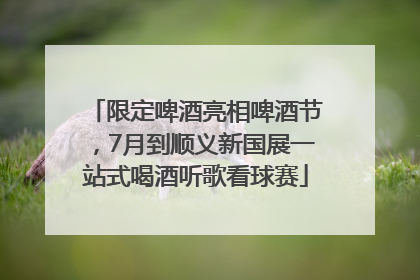 限定啤酒亮相啤酒节，7月到顺义新国展一站式喝酒听歌看球赛