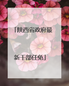 陕西省政府最新干部任免