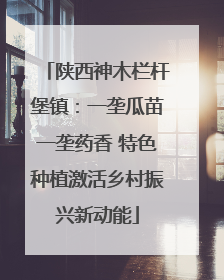 陕西神木栏杆堡镇：一垄瓜苗一垄药香 特色种植激活乡村振兴新动能