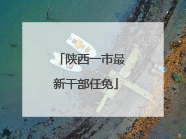 陕西一市最新干部任免