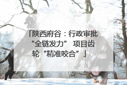 陕西府谷：行政审批“全链发力” 项目齿轮“精准咬合”