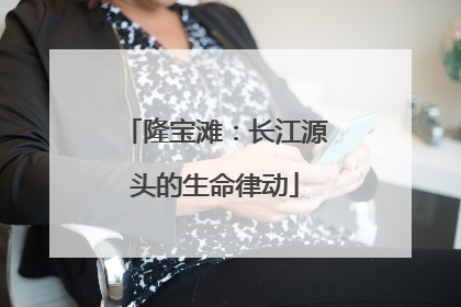 隆宝滩：长江源头的生命律动