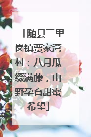 随县三里岗镇贾家湾村：八月瓜缀满藤，山野孕育甜蜜希望
