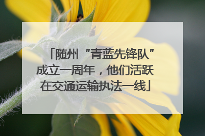 随州“青蓝先锋队”成立一周年，他们活跃在交通运输执法一线