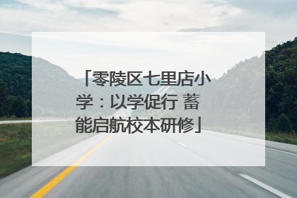 零陵区七里店小学：以学促行 蓄能启航校本研修
