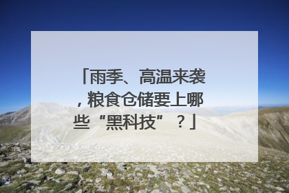 雨季、高温来袭，粮食仓储要上哪些“黑科技”？