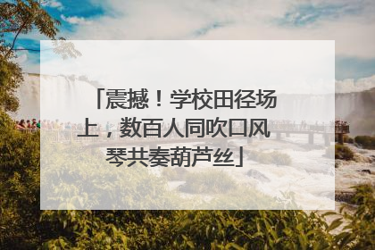 震撼！学校田径场上，数百人同吹口风琴共奏葫芦丝