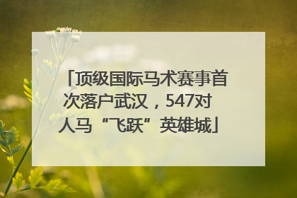 顶级国际马术赛事首次落户武汉，547对人马“飞跃”英雄城