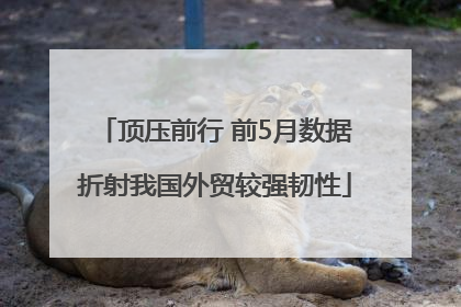 顶压前行 前5月数据折射我国外贸较强韧性