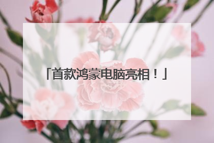 首款鸿蒙电脑亮相！
